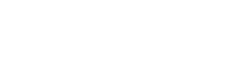Evnex logo